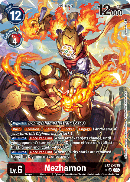 EX12 019P