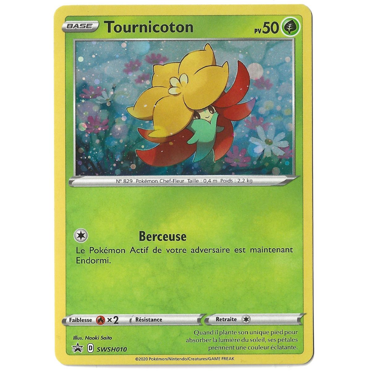 Item Tournicoton - Holo Rare - SWSH010