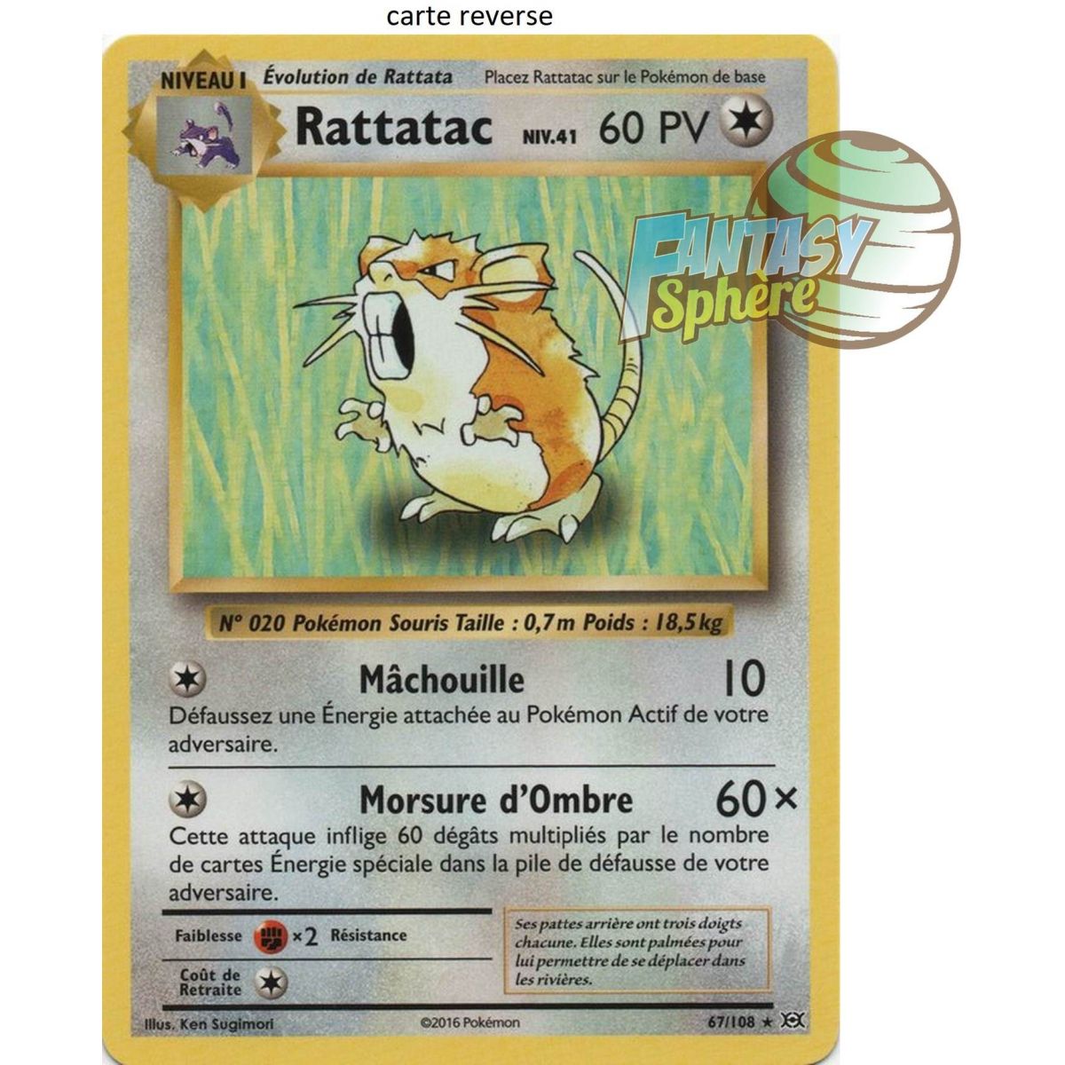 Rattatac - Reverse 67/108 - XY 12 Evolutions