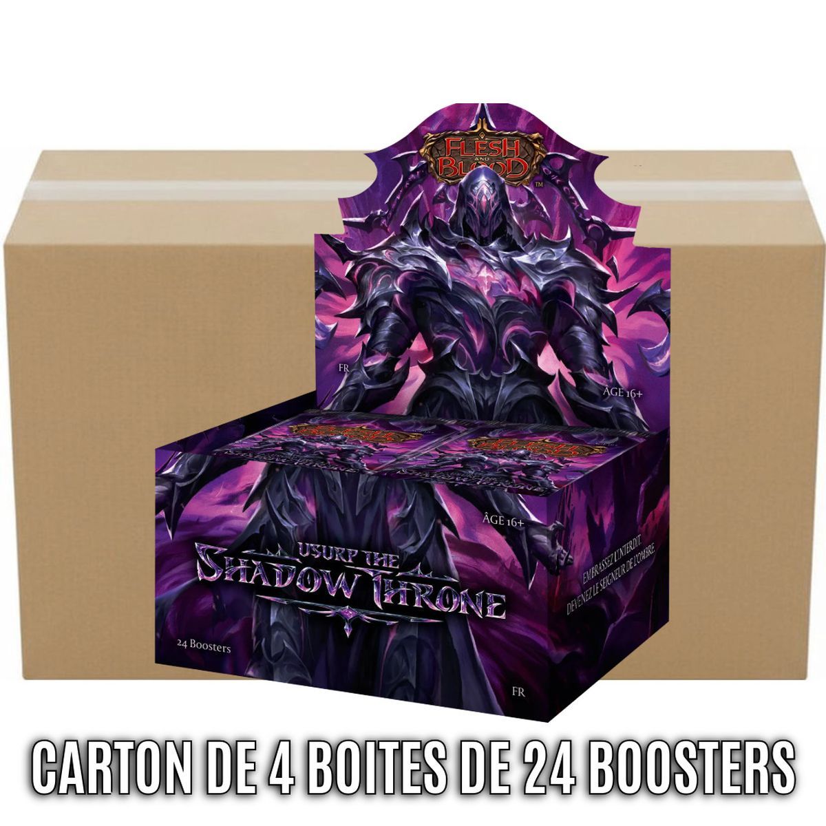 Box of 4 Box of 24 Boosters - Usurp the Shadow Throne - Flesh & Blood - FAB - FR
