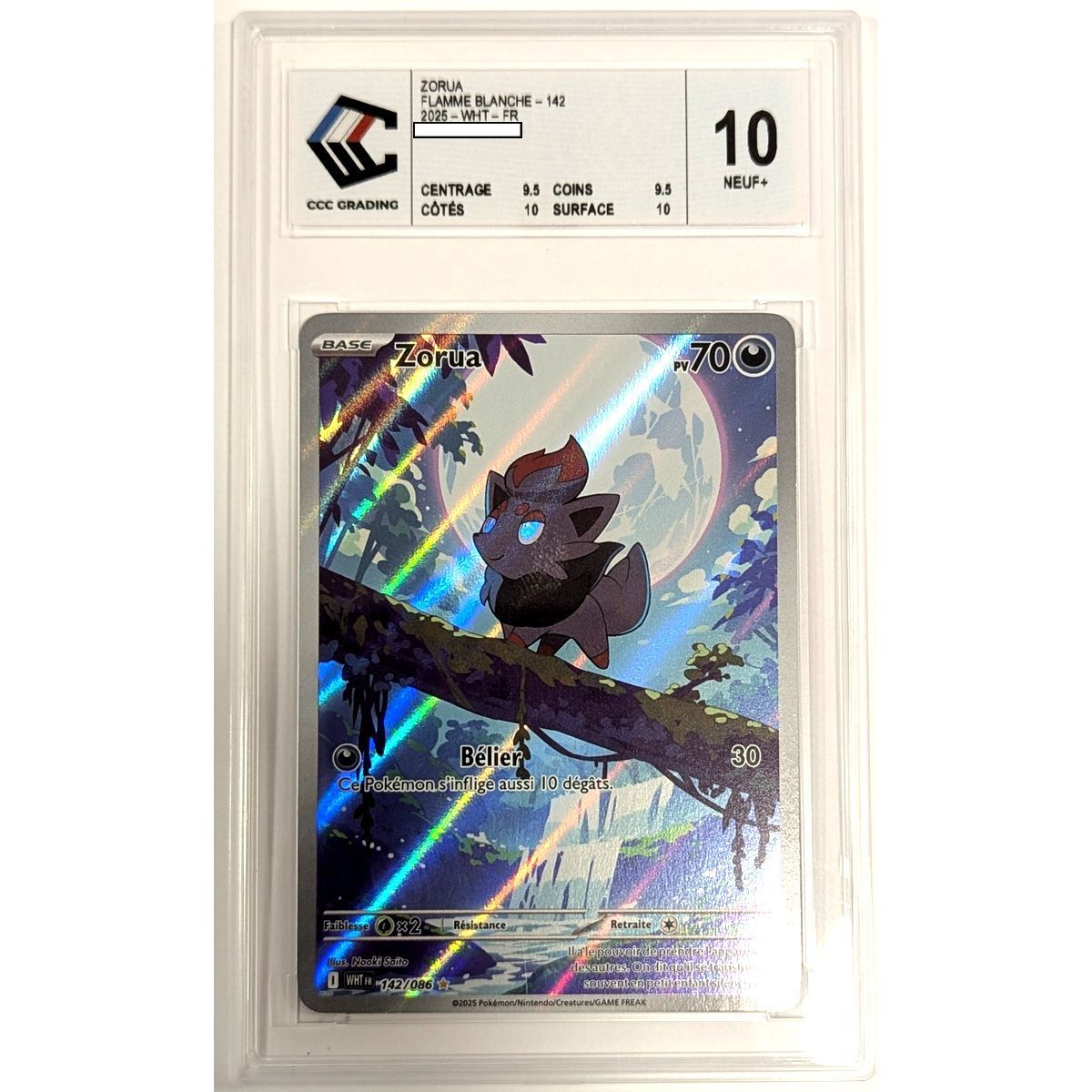 [CCC 10 - New+] - Graded Card - Zorua 142/086 - Scarlet & Violet: White Flame - 2025 - Pokémon - French