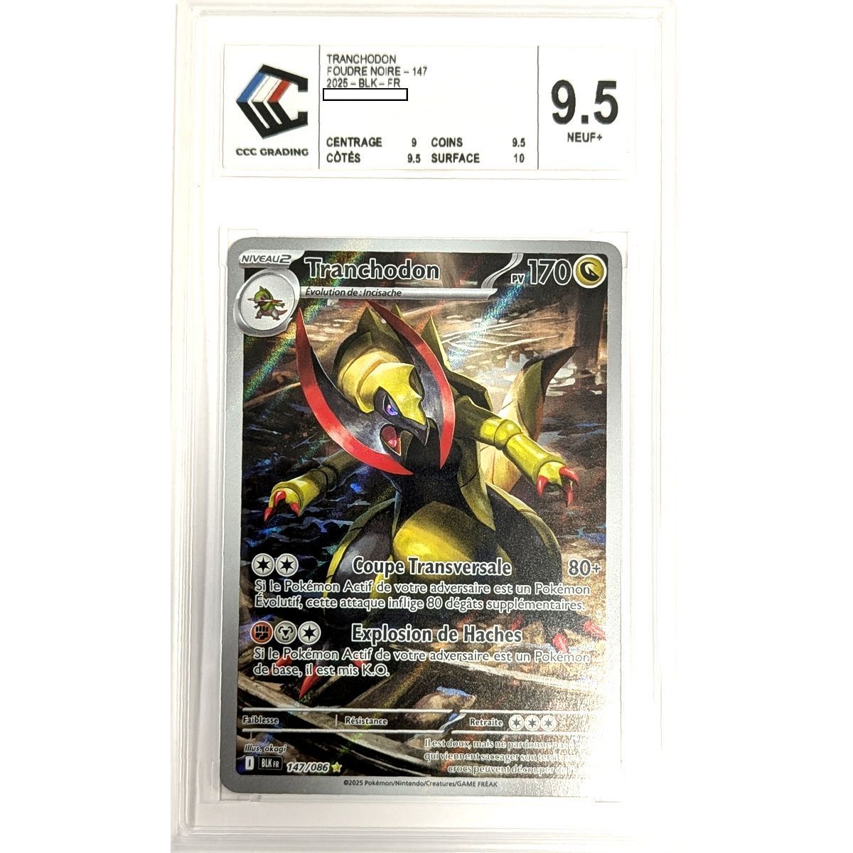 [CCC 9.5 - Nine+] - Graded Card - Haxorus 147/086 - Scarlet & Purple: Black Lightning - 2025 - Pokémon - French