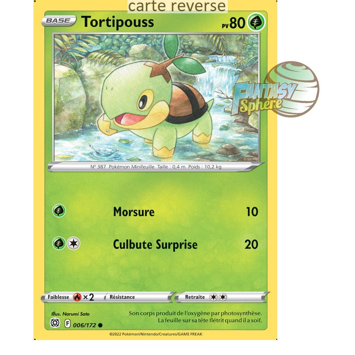 Tortipouss - Reverse 6/172 - Sword and Shield 9 Sparkling Stars