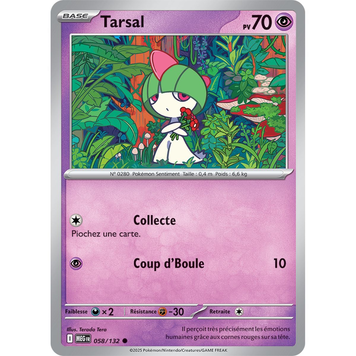 Tarsal - Common 58/132 - Mega-Evolution