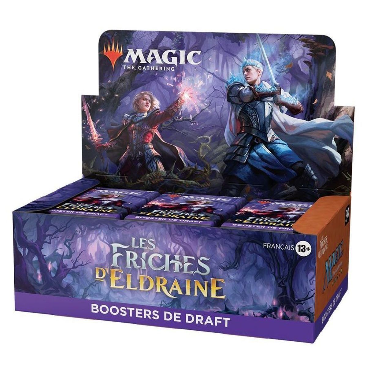 MTG - Booster Box - Draft - The Wastelands of Eldraine - FR