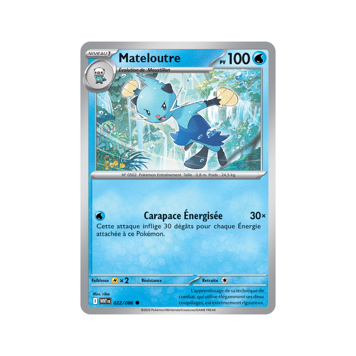 Mateloutre - Reverse 22/86 - Scarlet and Purple 10.5 White Flame