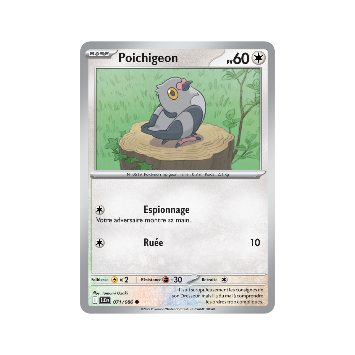 Poichigeon - Reverse Pokéball 71/86 - Scarlet and Purple 10.5 Black Lightning
