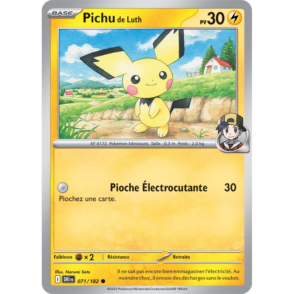 Pichu de Luth - Common 71/182 - Scarlet and Purple 10 Destined Rivalries