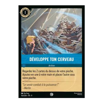 Item Develop Your Brain - 163/204 - FAB - Fabulous - Common - French